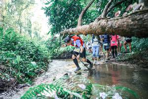 BIB: 
                            <button type="button" onclick="openModal(25465033)" class="btn btn-primary btn-sm float-right btn-popup" data-toggle="modal" data-target=".modal-high-quality">
                        <i class="fas fa-shopping-cart"></i> Add to Cart
                    </button>
                                            <button type="button" onclick="isThisMe(25465033, true)" class="btn btn-success btn-sm float-right btn-popup btn-isme hidden" data-toggle="tooltip" data-placement="bottom" title="นี่คือรูปของคุณใช่ไหม คลิกที่นี่เพื่อเอาเข้าอัลบั้ม">
                        <i class="fas fa-plus"></i> Add to album
                    </button>
                    <button type="button" onclick="isThisMe(25465033, false)" class="btn btn-warning btn-sm float-right btn-popup btn-isnotme hidden">
                        <i class="fas fa-ban"></i> Remove from album
                    </button>